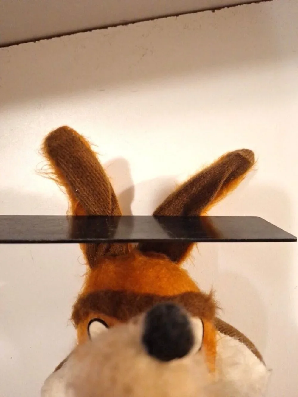 Coyote Plush A I Novelty Co 14